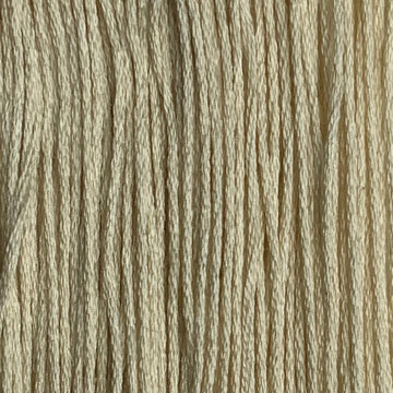 Almond MNMs Studio - Cream, Gold, Browns