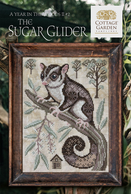 Sugar Glider 2 - Year In The Woods II