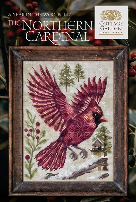 Northern Cardinal 7- Year In The Woods II